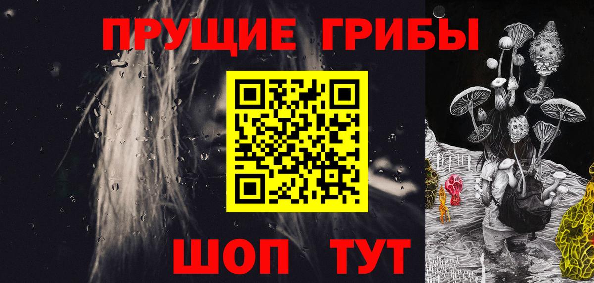 Галлюциногенные грибы Cubensis Чехов